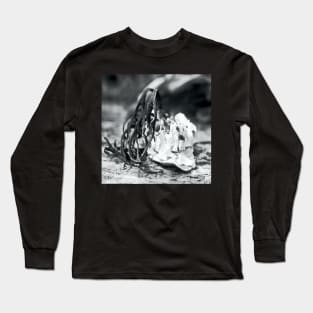 Sea shelf with weed Long Sleeve T-Shirt